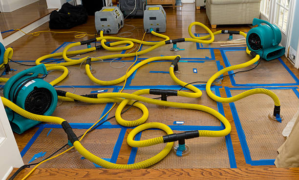 Professional Structural Drying And Dehumidification technician working in Ravenna, MI